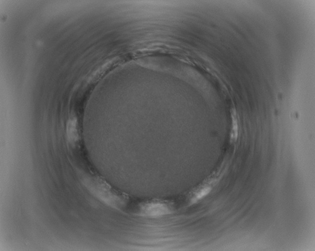 X0000080730224200612151232