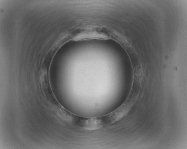 X0000080730225200612151232