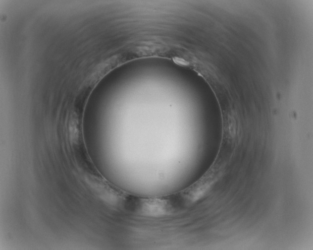 X0000080730226200612151232