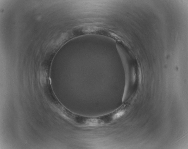 X0000080730227200612151232