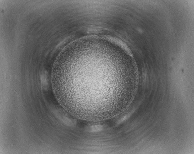 X0000080730228200612151232