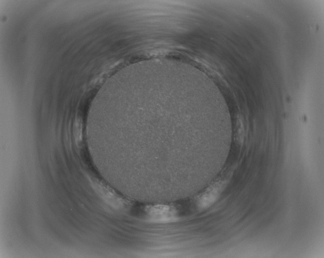 X0000080730230200612151232