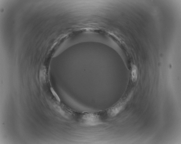 X0000080730231200612151232