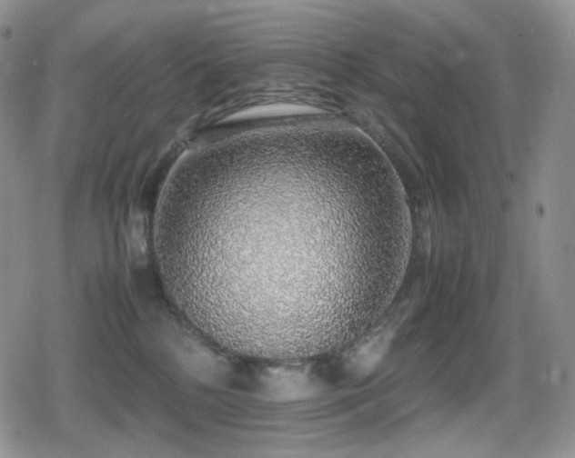 X0000080730232200612151232