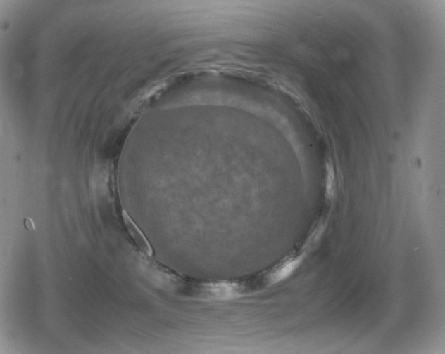 X0000080730233200612151232