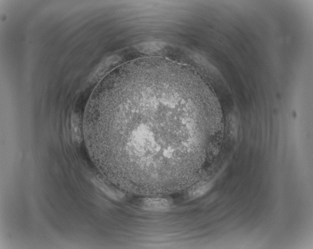 X0000080730234200612151232