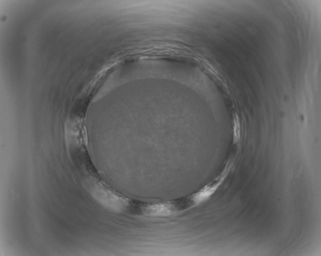 X0000080730237200612151232