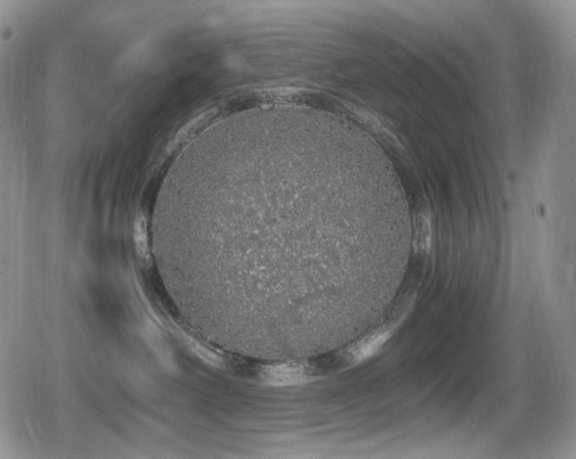 X0000080730238200612151232