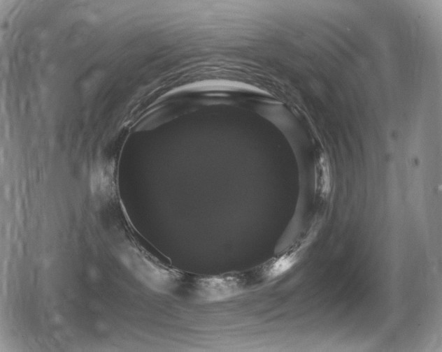 X0000080730239200612151232