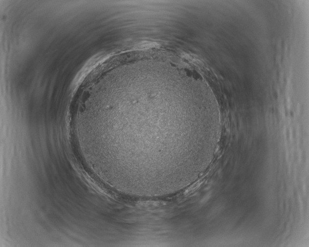 X0000080730242200612151231