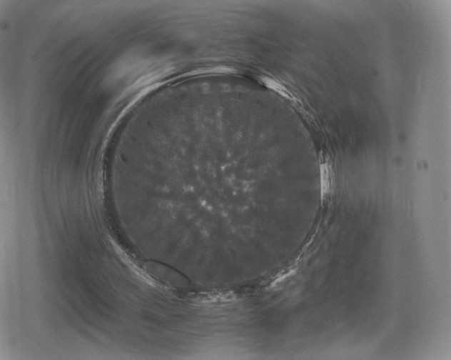 X0000080730243200612151231