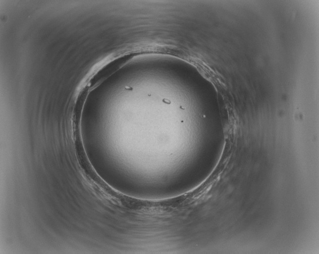 X0000080730244200612151231