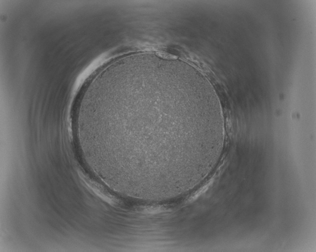 X0000080730246200612151231