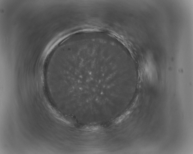 X0000080730247200612151231