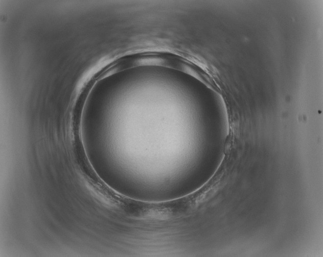 X0000080730248200612151231