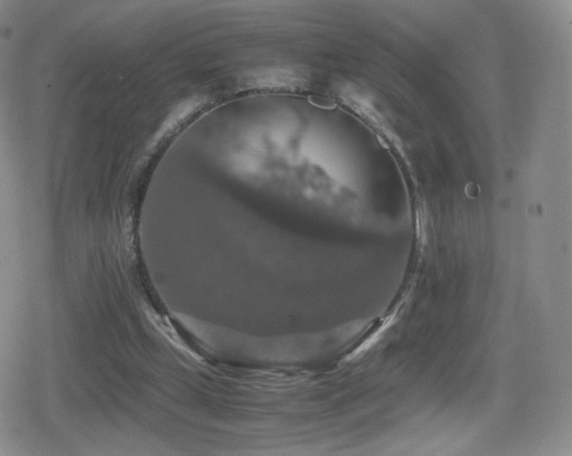 X0000080730249200612151231