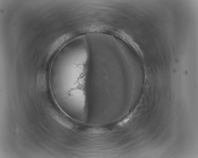 X0000080730250200612151231