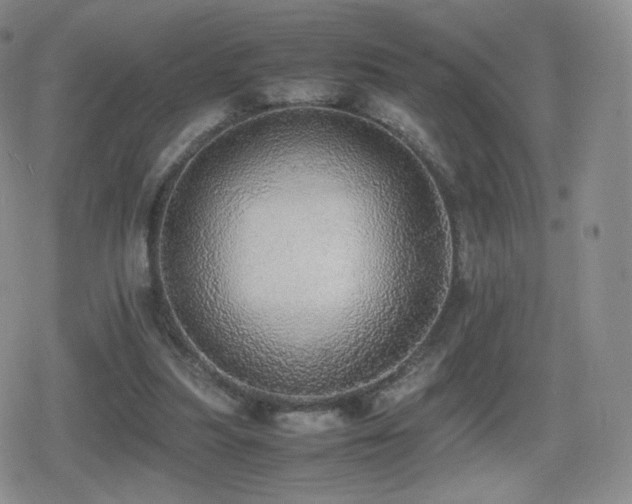 X0000080730251200612151231