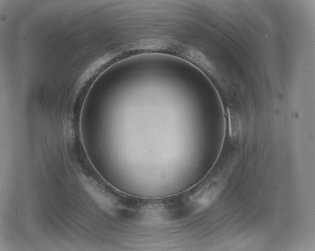 X0000080730252200612151231