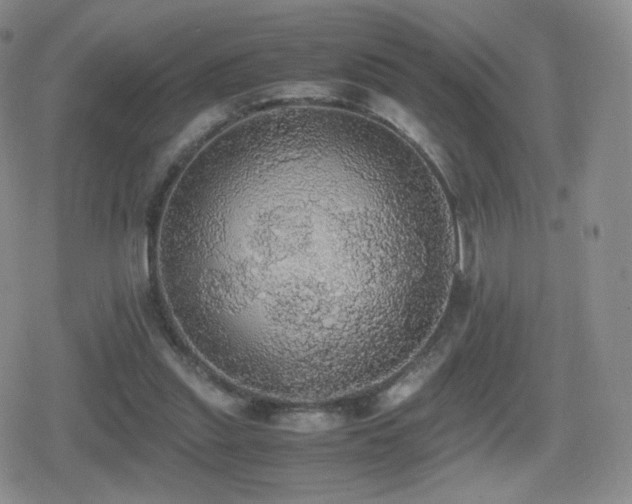 X0000080730253200612151231