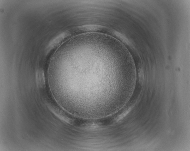 X0000080730254200612151231