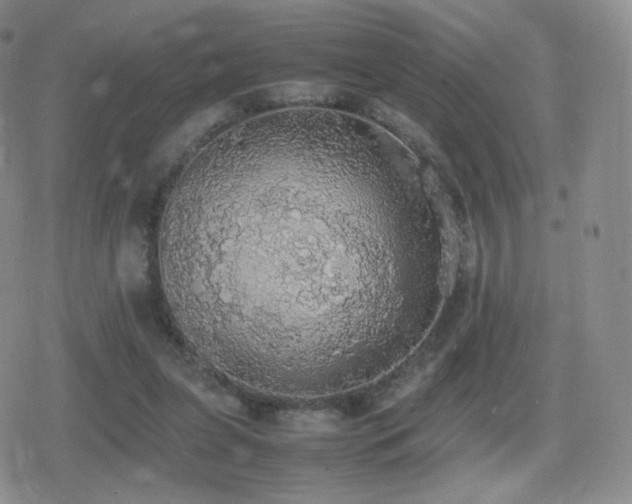 X0000080730255200612151231