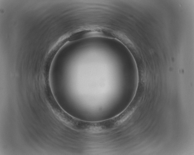 X0000080730256200612151231