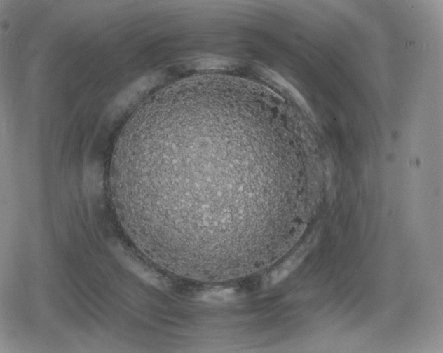 X0000080730257200612151231