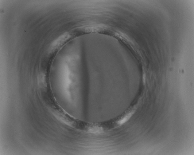 X0000080730258200612151231