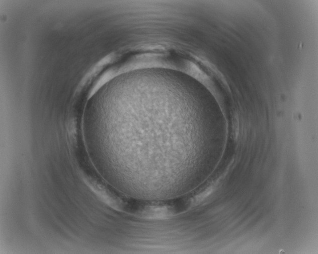 X0000080730260200612151231