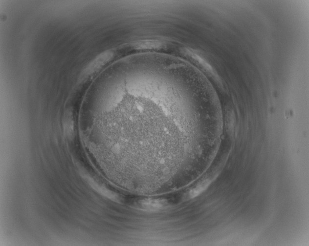 X0000080730261200612151231