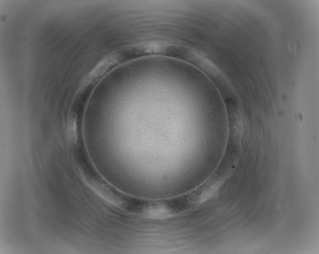 X0000080730262200612151231