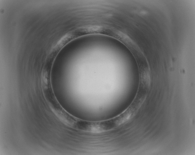 X0000080730264200612151231