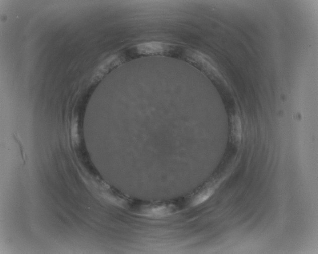 X0000080730267200612151232