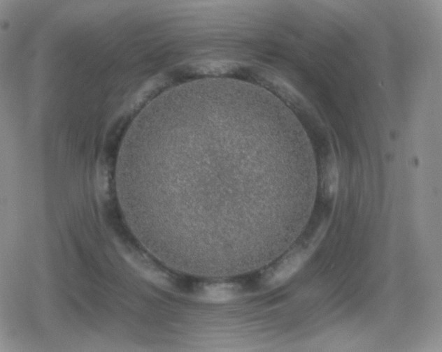 X0000080730268200612151232