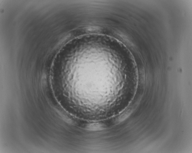 X0000080730269200612151232