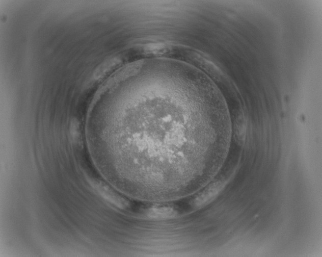 X0000080730270200612151232