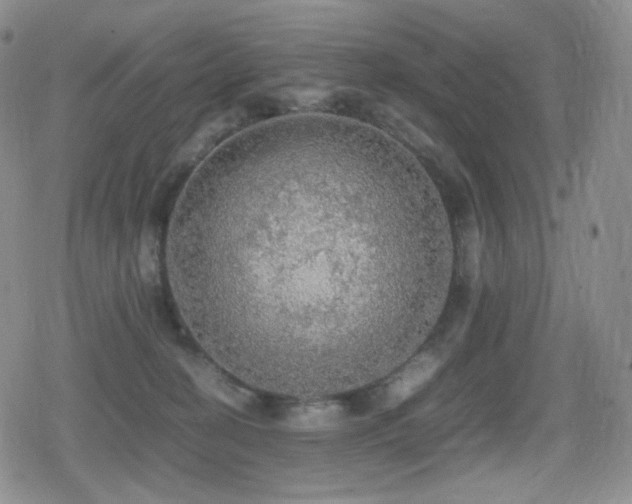 X0000080730274200612151232