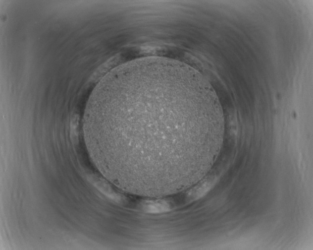 X0000080730275200612151232