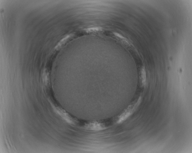 X0000080730276200612151232