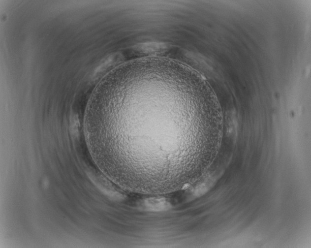 X0000080730279200612151232