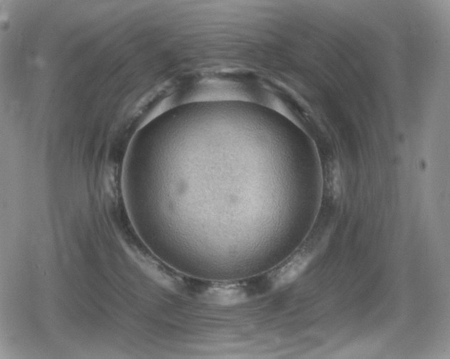 X0000080730280200612151232