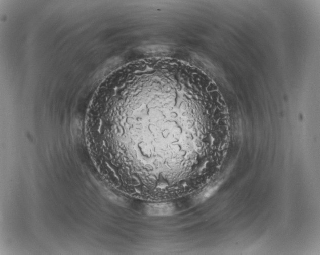 X0000080730281200612151232