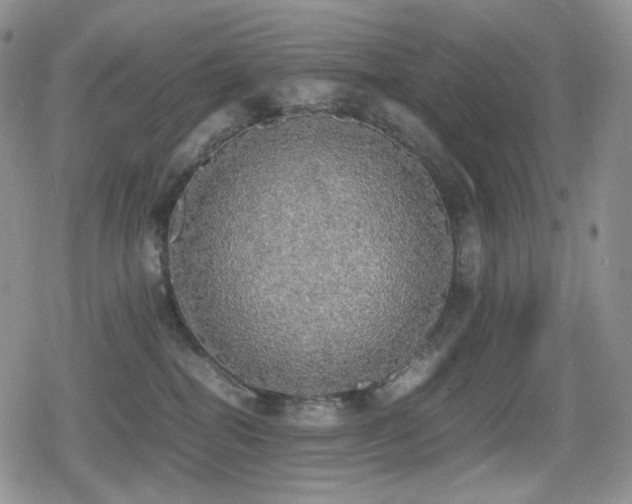 X0000080730282200612151232