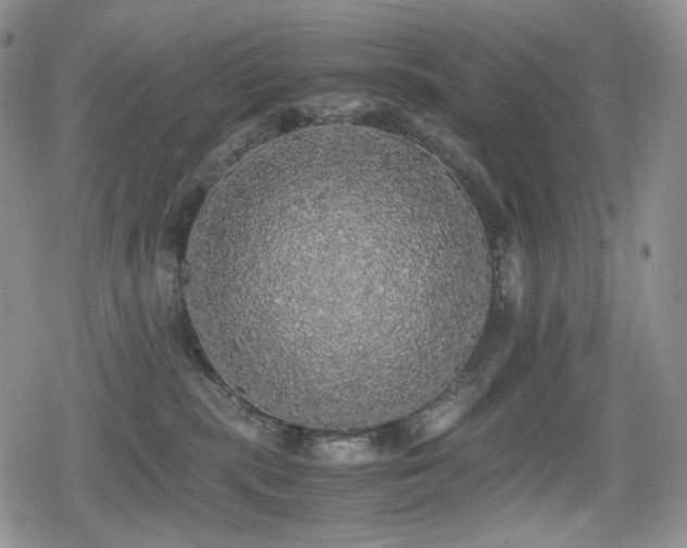 X0000080730283200612151232