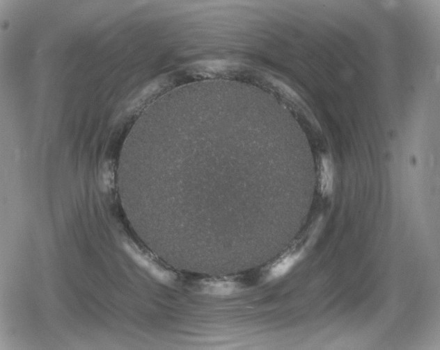 X0000080730284200612151232