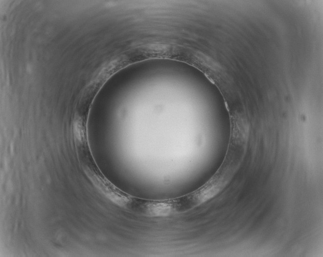 X0000080730287200612151232