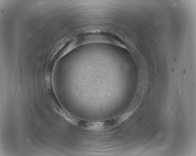 X0000080730288200612151232