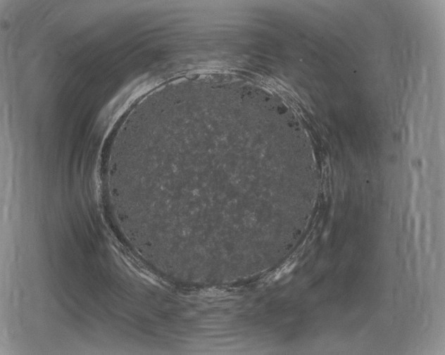 X0000080730290200612151231