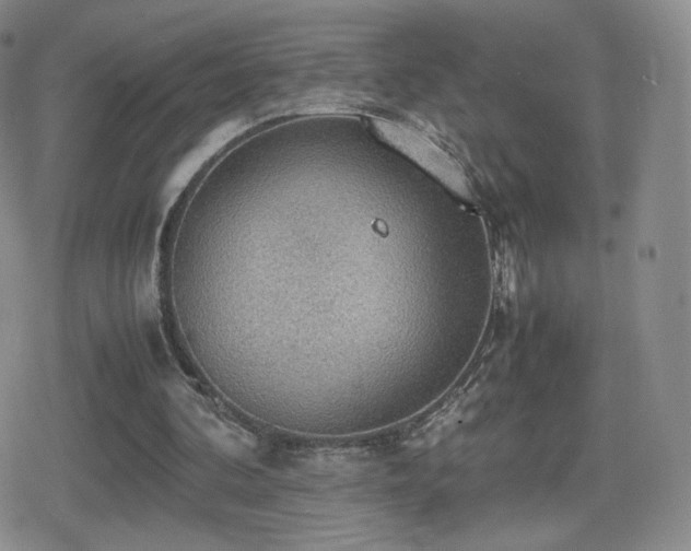 X0000080730292200612151231